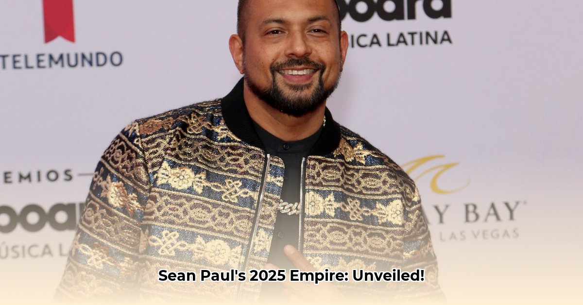 net-worth-of-sean-paul